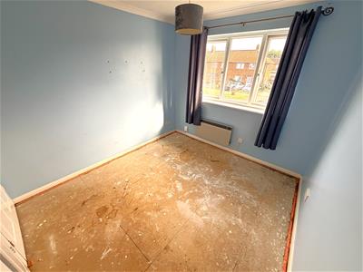 Picture 12